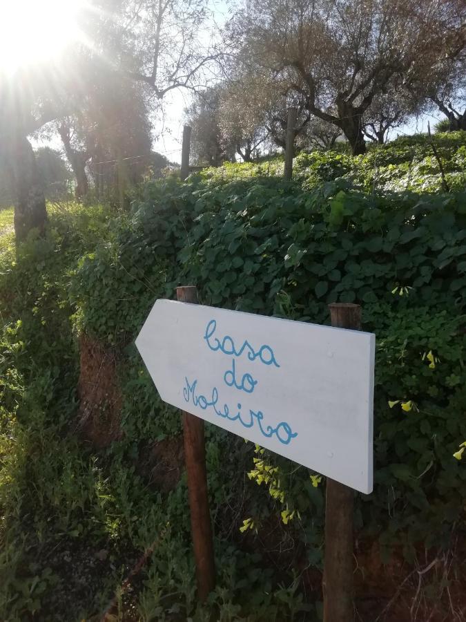 Casa Do Moleiro Villa Santiago do Cacém Eksteriør billede